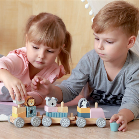 Montessori Wooden Stacking Train