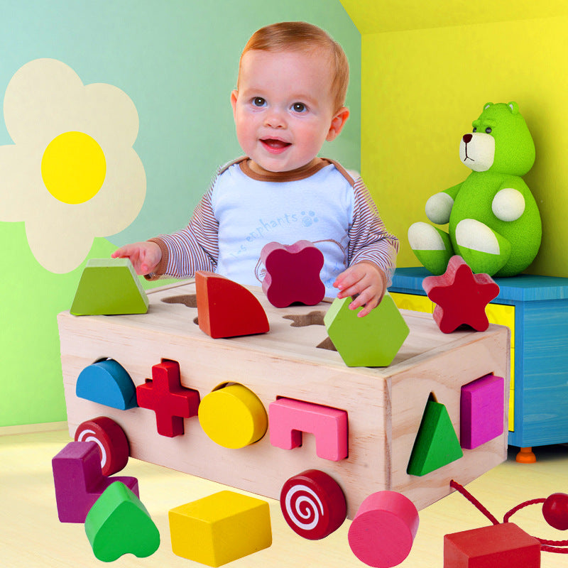 Montessori Shape Matching Building Blocks