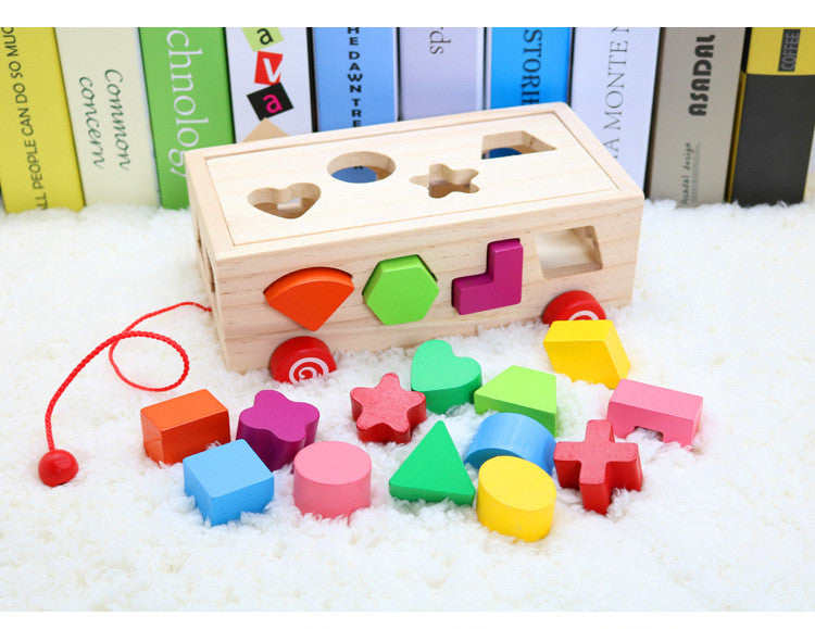 Montessori Shape Matching Building Blocks